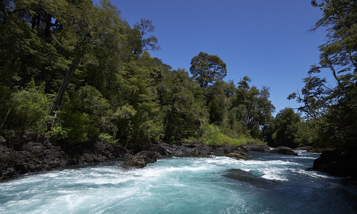 Aguas Décima resaltó el valor del bosque valdiviano en la producción de agua