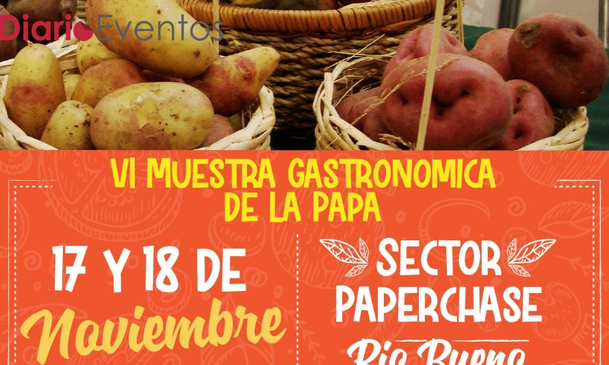 Río Bueno se prepara para la VI Muestra Gastronómica de la Papa 