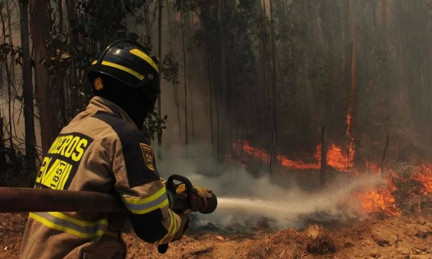 Alerta Temprana Preventiva para la Región de Los Ríos por amenaza de incendio forestal