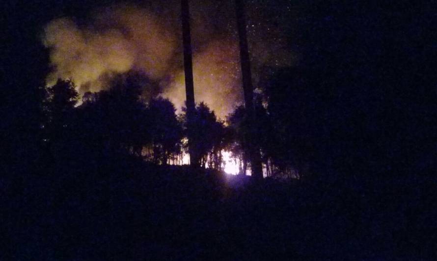 Incendio forestal en cercanías de Niebla estaría controlado gracias a operativo con helicóptero