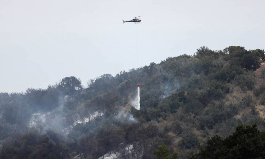 San José: Incendio forestal afecta a predio en sector del Nogal 