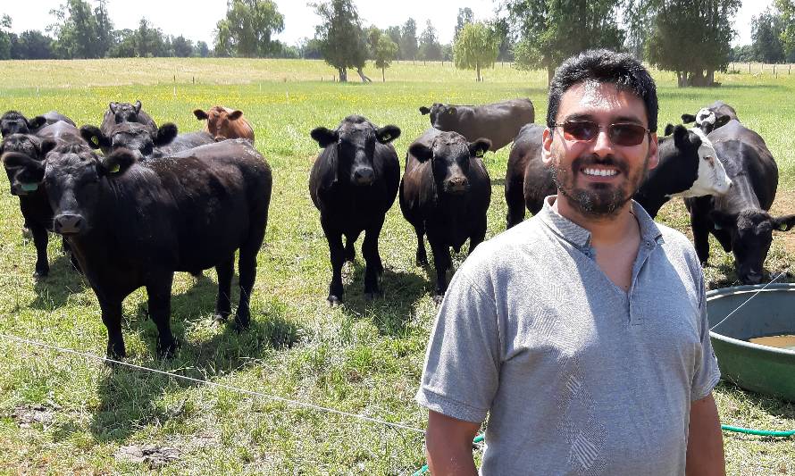 Doctor Carne explica las razones por las que las carnes de libre pastoreo están de moda