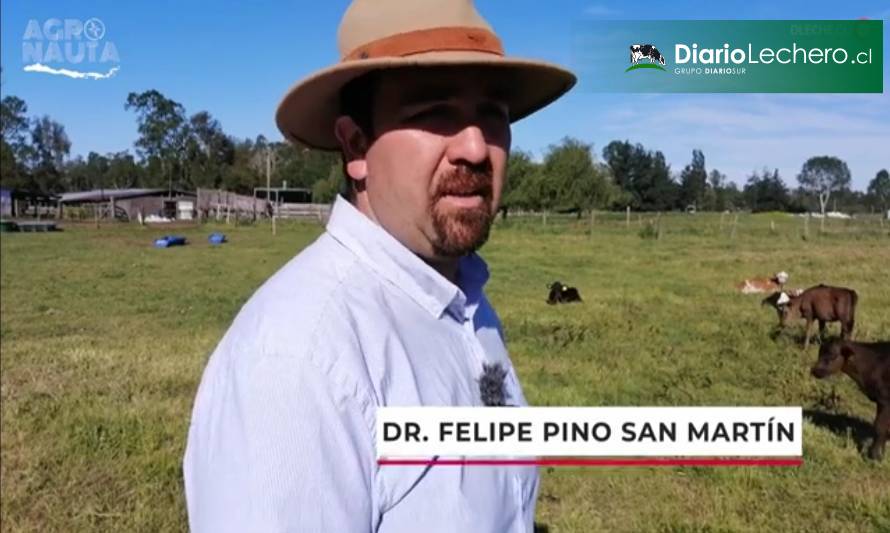 El desafío del Dr. Felipe Pino en su propia lechería