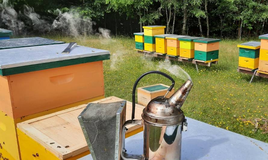 Destacan labor de cooperativa de miel con sello asociativo