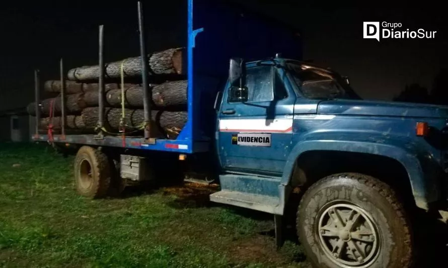 Hurto de madera en Los Ríos: en septiembre hubo ocho detenidos