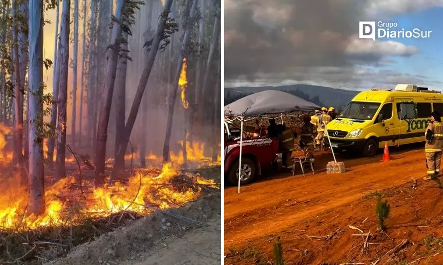 El triste año nuevo en medio del mayor incendio forestal de Paillaco