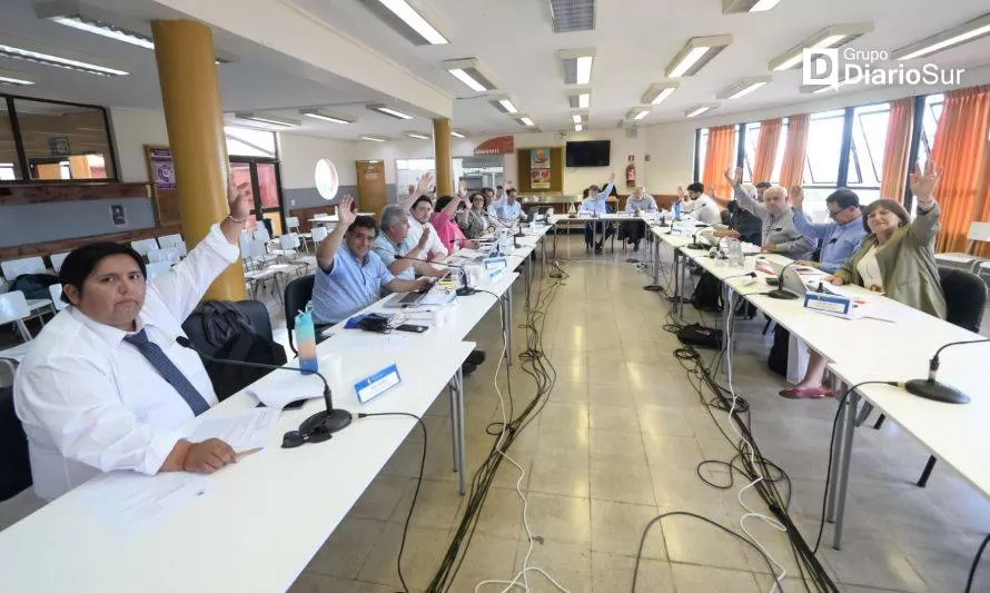 Consejeros piden que multas ambientales de Arauco sean asignadas a la región