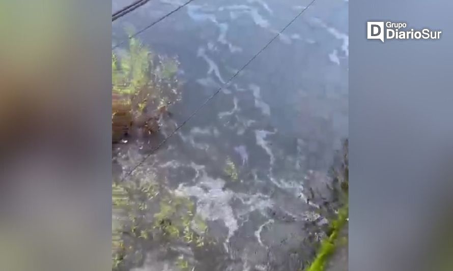 Transeúnte advierte sobre posible derrame de combustible en río Rahue de Osorno 