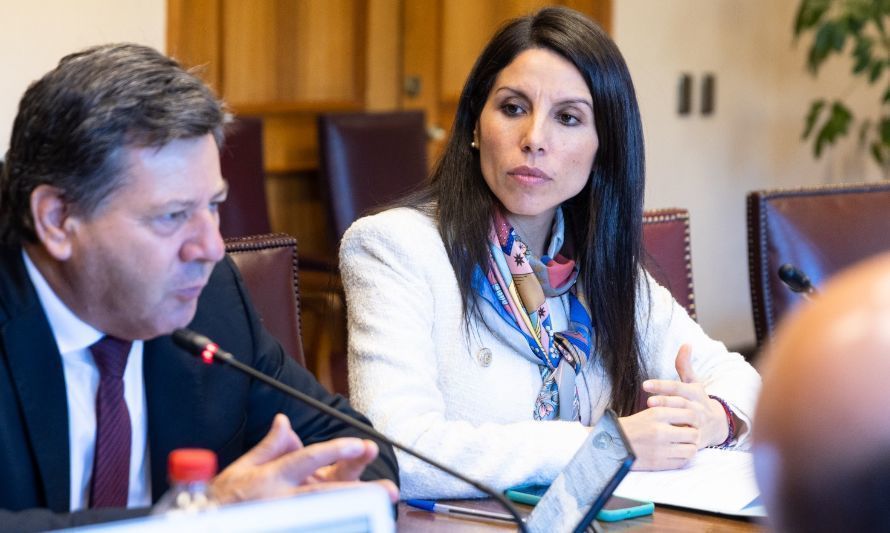 Senadora Gatica acusa rebaja del Gobierno a subsidios de mejoramiento de viviendas
