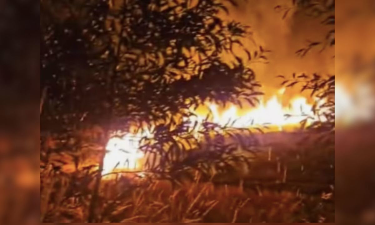 No pasó a mayores: incendio en la salida de Reumén fue controlado