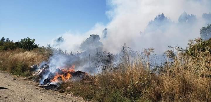 Bomberos trabaja en incendio forestal en Piruco y Diumen Cayurruca 